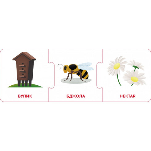 Catene logiche. Mondo animale. Chi vive dove e cosa mangia